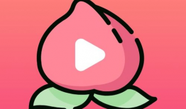 桃子视频,揭秘生活百态，畅享视觉盛宴